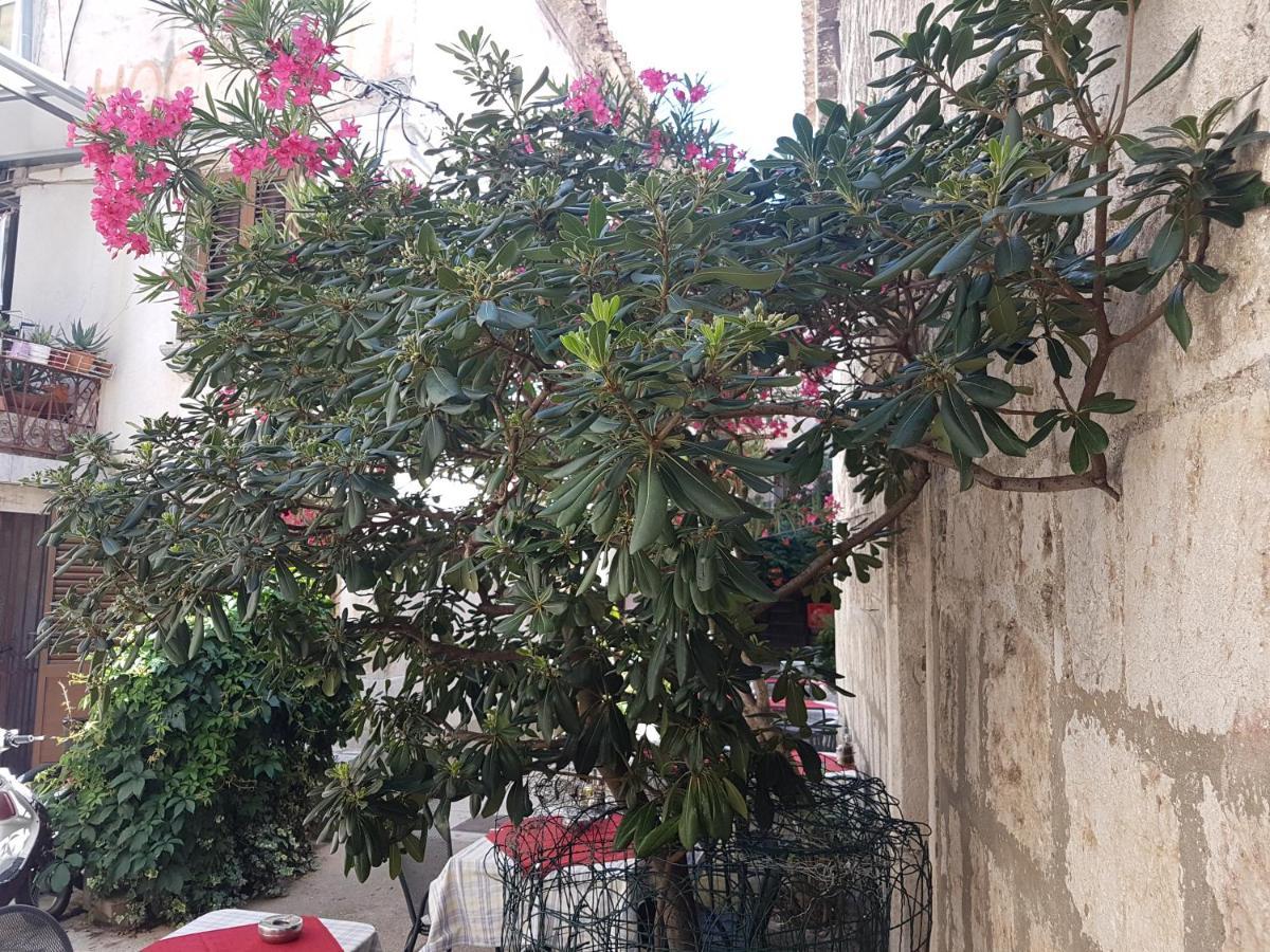 Villa Marija Đảo Đảo Cres Ngoại thất bức ảnh